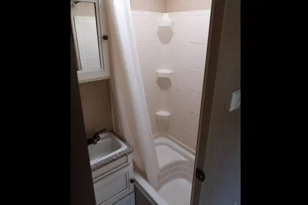 Chris's Palomino Stampede ultra lite s-195sd Hybrid