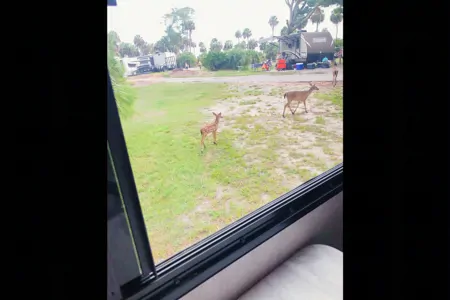 Glamping Made Easy! Full Size Bathroom!! Pet Friendly 