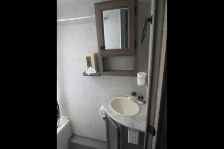 'Annie' 2019 Coachmen Forest River Apex Nano ACO1945