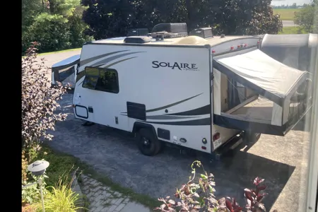 Amy's Hybrid Palomino Solaire 147x