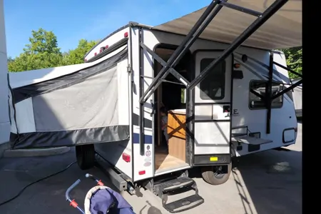 Amy's Hybrid Palomino Solaire 147x
