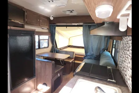 Amy's Hybrid Palomino Solaire 147x