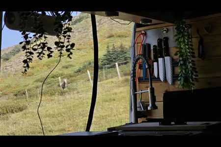 The Roaming Tabby Camper Van
