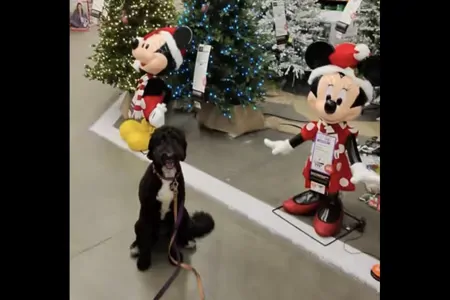 Steve n Mel’s Fun Fifth Wheel