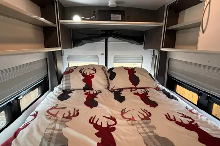 Penelope Safari Condo XL Flex Classe B