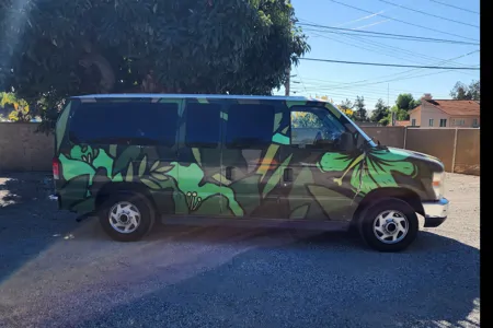 RAIN FOREST FORD E150