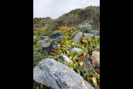 Raed's Thor Hurricane 29X Class A