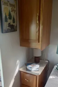Lone Moose Camper