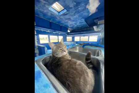 Puffy The Cloud Burning Man Warn The West Trailer Rental