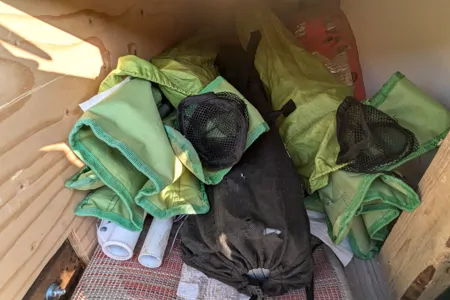 Shoebill Plumber campervan (GMC Savana 2015)