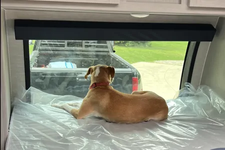 Small space, Big Memories! Apex Nano Bunkhouse 5000lbs