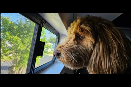 Luna Sea Adventure Van -Heat/AC- Dog Friendly/Fully Stocked