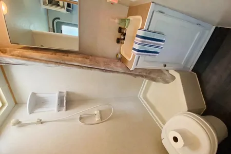 The Happy Camper 🌵 