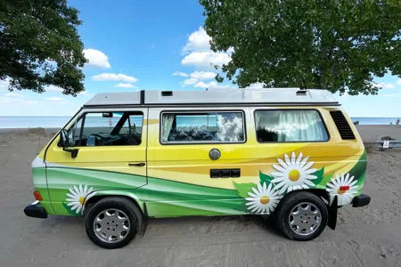 Daisy the Vanagan at the Farm 