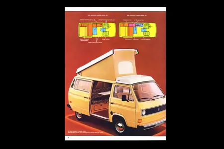 Daisy the Vanagan at the Farm 