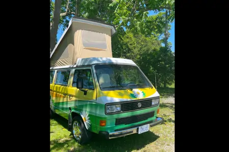 Daisy the Vanagan at the Farm 