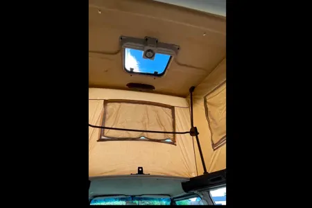 Daisy the Vanagan at the Farm 