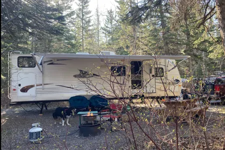 Trent's Spacious Springdale