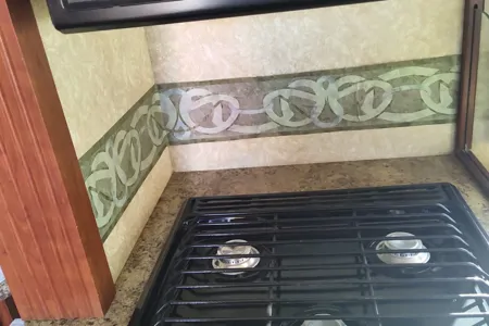 Fatou's Hurricane 2009 Ford DRW HURRICANE 31D Classe A