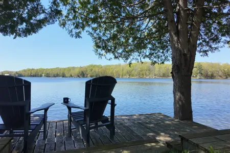 Opinicon Lake Oasis