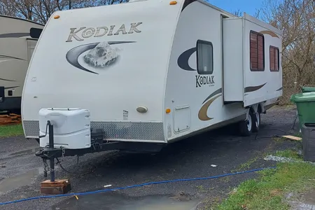 Kodiak Dream