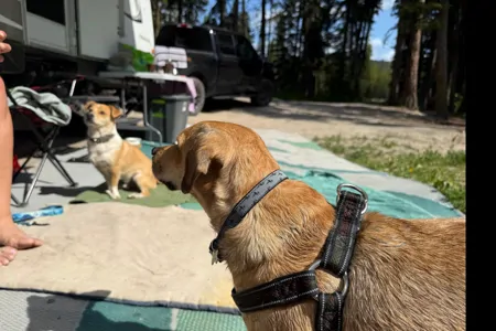 Brent and Toni's Jayco Whitehawk Ultra Lite 24rbs