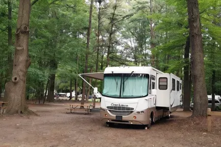 Albert's Coachmen Aurora Class A