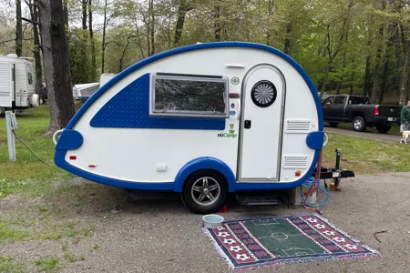 The Little Blue Bird