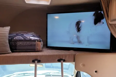 ALL-INCLUSIVE Brand New 2021 Thor Motor Coach Four Winds 22E Class C