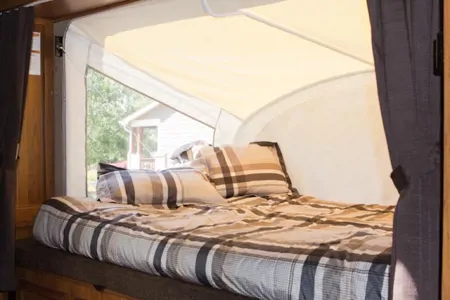 Lucky, our great lil hybrid