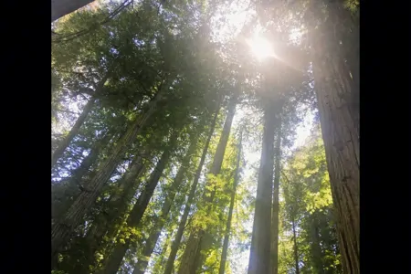 “Getaway”  2016 Thor Axis 24.1 Class A crossover to Class C