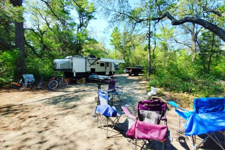 Ms. Frizzle the Happy Family Camper 