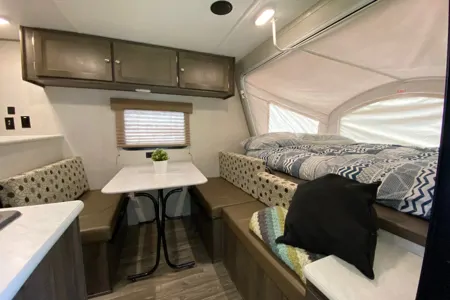 Ms. Frizzle the Happy Family Camper 