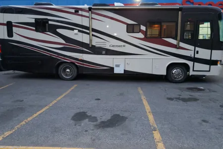 Luxury RV  WILDLIFE RADY 