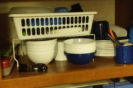 Kermit's Coachman Freedom Express Hybrid