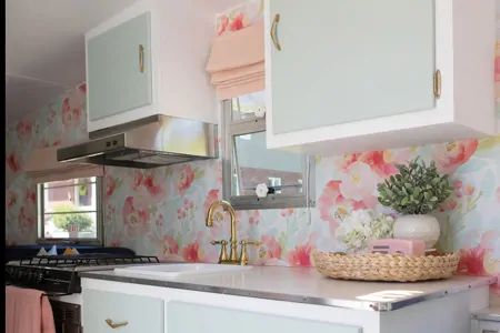  Vintage Shasta Airflyte Travel Trailer