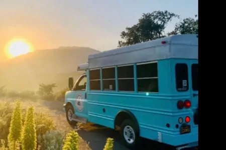Converted School Bus SKOOLIE fully solar powered SEATS 7!