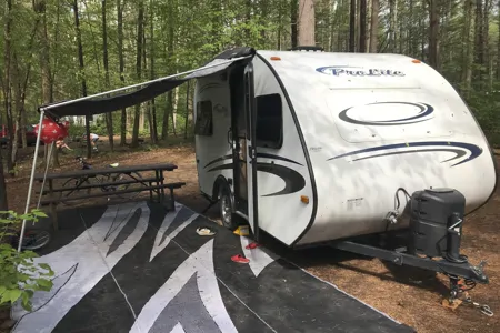 Appa the Flying Bison