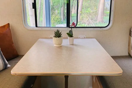 The Happy Camper 🌵 