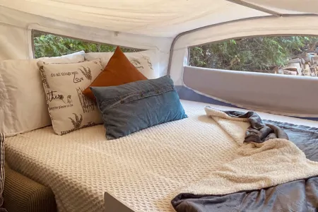 The Happy Camper 🌵 