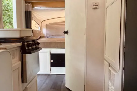 The Happy Camper 🌵 