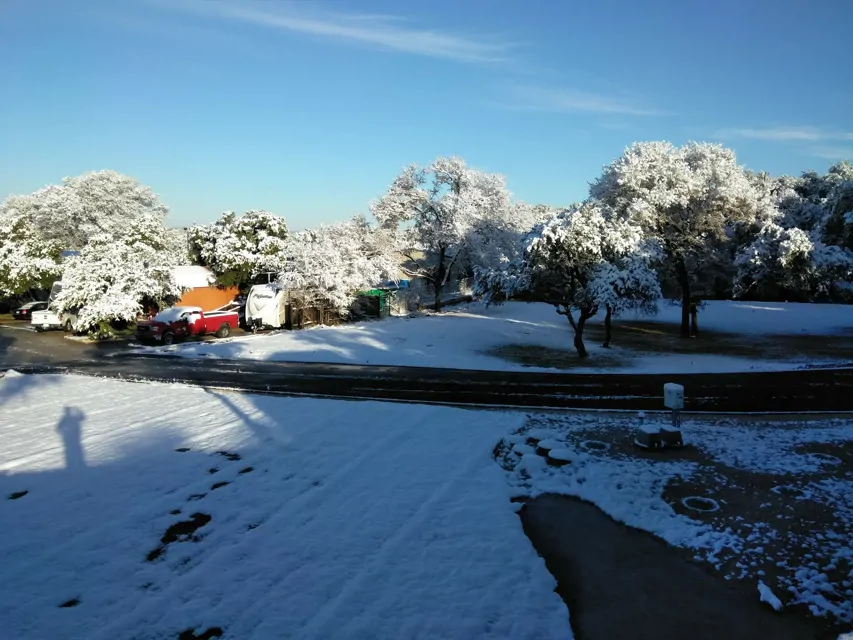 Wagon Wheel RV Park and Cabin Rental Photos et caractéristiques du