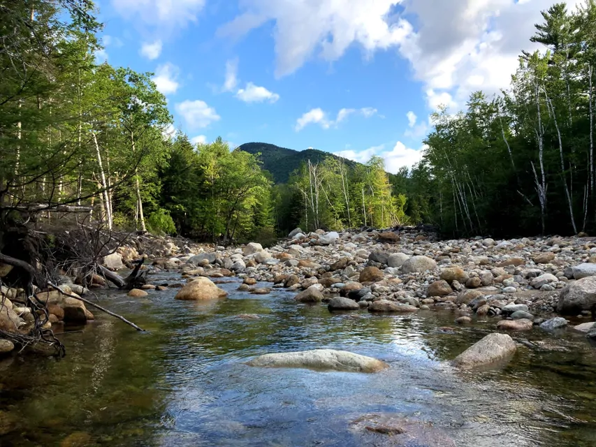 Dry River Crawford Notch State Park Photos et caractéristiques du