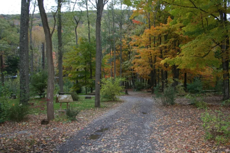 Phoenicia Black Bear Campground and RV Park Photos et