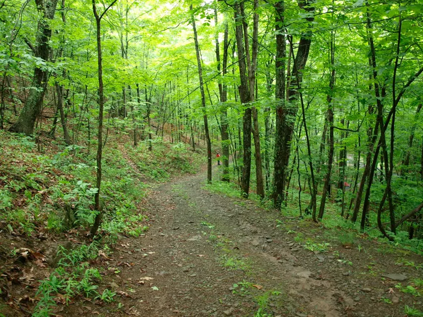 Max V Shaul State Park Photos et caractéristiques du camping RVezy