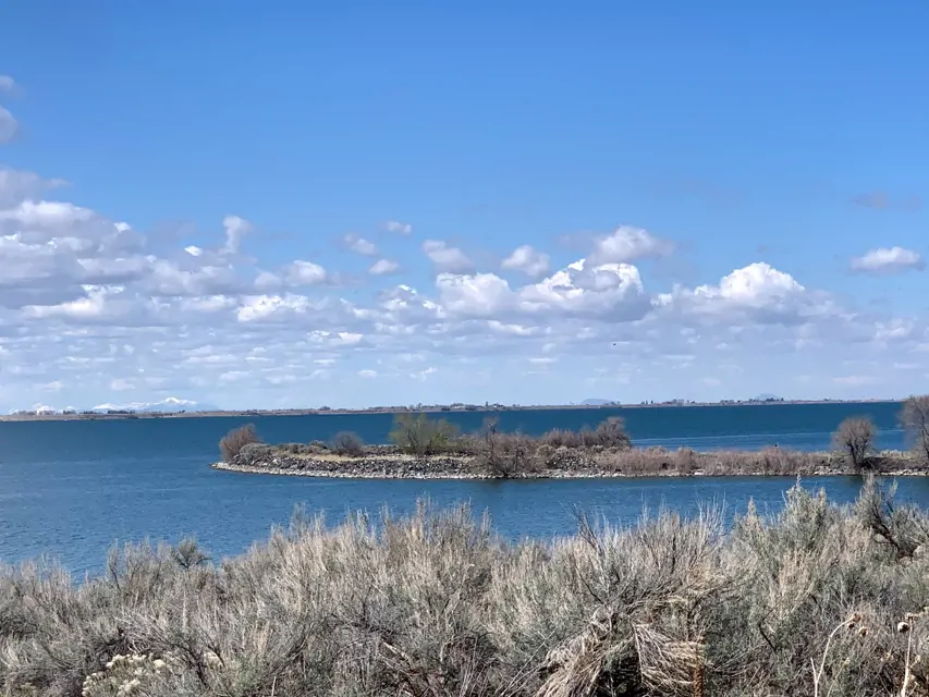 Willow Bay Recreation Area Pictures, Features & Amenities