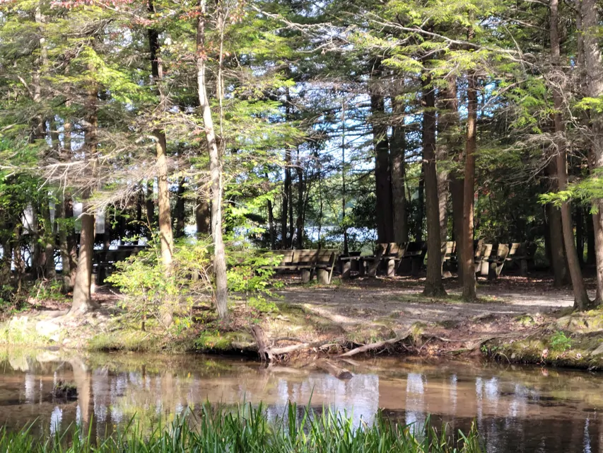 Locust Lake State Park Campground Photos et caractéristiques du
