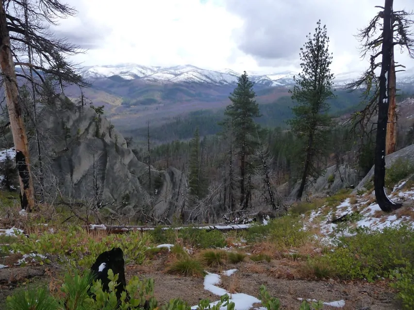 Cougar Rock Campground Mount Rainier National Park Pictures, Features & Amenities