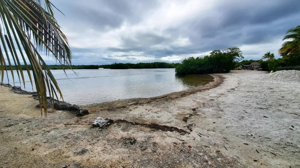 Key Largo Campground and Marina Pictures, Features & Amenities RVezy