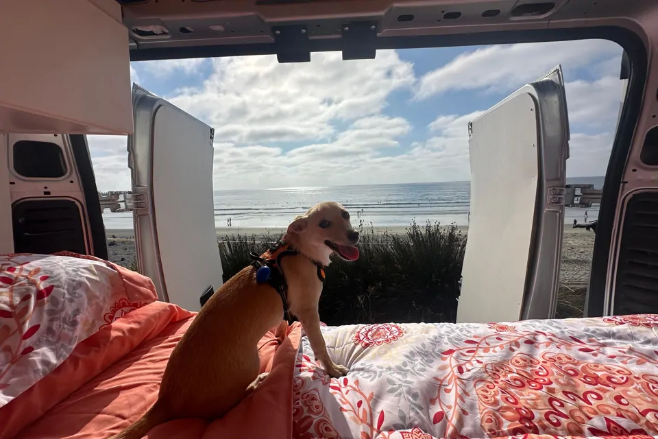 2021 Dodge Ram ProMaster 2500